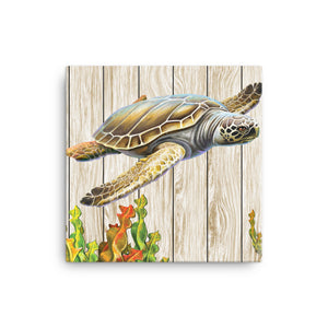 Stampa su tela artistica Immagini murali soggiorno Sfondo di tavole di legno di tartarughe marine millenarie