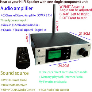 TUNERSYS Sintonizador de radio por Internet Amplificador estéreo 100W