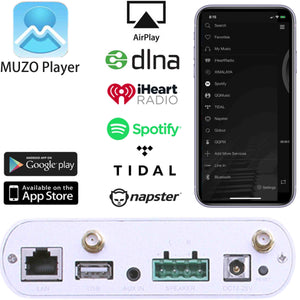 Amplificador estéreo de audio multisala WiFi Bluetooth