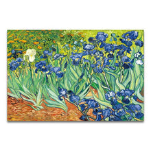 Cargar imagen en el visor de la galería, Famoso artista Van Gogh pintura al óleo cielo estrellado Iris flor amanecer paisaje lienzo pintura impresión póster imagen decoración de pared