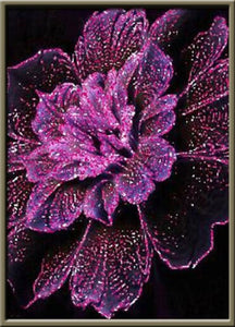 Diamantstickerei Vollrunde Blumen 5D Diy Diamantmosaik Blumen Kit Diamantmalerei Kreuzstich Strass Diamantkunst