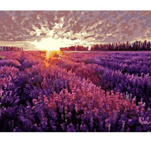 Cargar imagen en el visor de la galería, Cuadro de flores vivas, pintura DIY por números, pintura al óleo pintada a mano, pintura acrílica sobre lienzo para decoración del hogar, 60x75cm