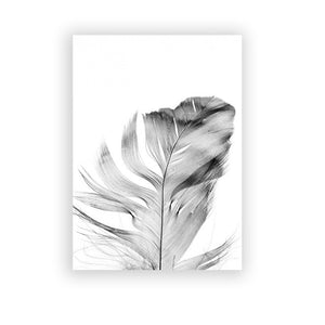 Posters Black And White Flower Print Fresh Wall Art Feather Dandelion Pictures Canvas Living Room Decoration Wall Paintings
