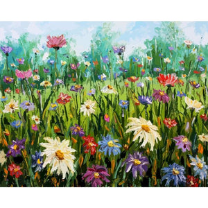 Oil Painting By Numbers Flower On Canvas With Frame Handmade Drawing Paints For Adults Picture Coloring By Number Decoration Art