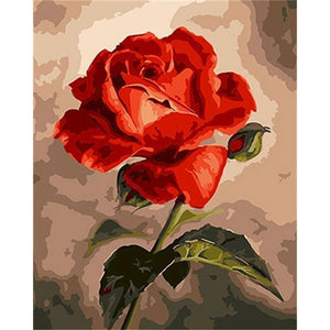Oil Painting By Numbers Flower On Canvas With Frame Handmade Drawing Paints For Adults Picture Coloring By Number Decoration Art