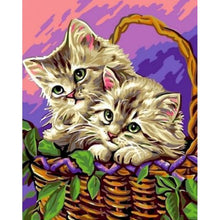 Load image into Gallery viewer, Diy Pictures By Numbers Kits For Adults Handpainted Color Cat With Butterfly Oil Painting By Number
