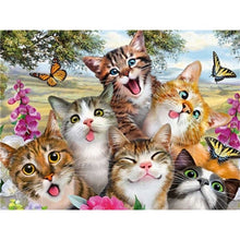Load image into Gallery viewer, Diy Pictures By Numbers Kits For Adults Handpainted Color Cat With Butterfly Oil Painting By Number