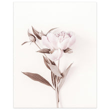Cargar imagen en el visor de la galería, Flor fresca Rosa pared arte lienzo paisaje pintura chica habitación decoración cuadros lienzo pinturas decorativas hogar Decoración fotos