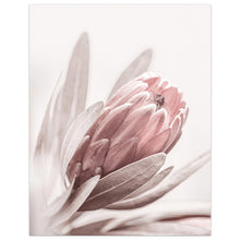 Cargar imagen en el visor de la galería, Flor fresca Rosa pared arte lienzo paisaje pintura chica habitación decoración cuadros lienzo pinturas decorativas hogar Decoración fotos