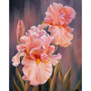 Marco de 60x75cm Diy pintura por números para adultos flores rosas pintura acrílica por número lienzo al óleo dibujo decoración del hogar