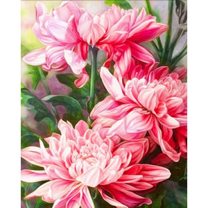 60x75cm Frame Diy Painting By Numbers For Adults Pink Flowers Acrylic Paint By Number Oil Canvas Drawing Home Decor
