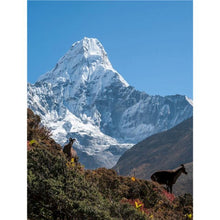 Load image into Gallery viewer, Painting By Numbers On Canvas With Frame Diy Kit For Adults Scenery Drawing Acrylic Paint Oil Picture Of Coloring By Numbers Art