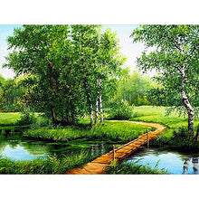 Cargar imagen en el visor de la galería, 5D Diy diamante pintura paisaje punto de cruz Kit taladro completo bordado paisaje invierno mosaico arte imagen de decoración de diamantes de imitación
