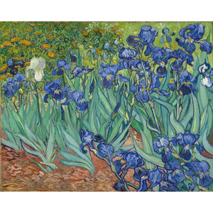 Kits de pintura al óleo de Van Gogh por número de flores para adultos sobre lienzo con marco pinturas acrílicas imagen para colorear por número arte de decoración