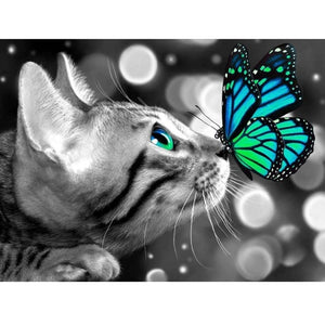 Diy Pictures By Numbers Kits For Adults Handpainted Color Cat With Butterfly Oil Painting By Number
