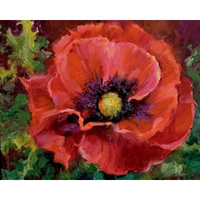 Cargar imagen en el visor de la galería, Pintura DIY por números, flores de amapola, pintura al óleo pintada a mano, dibujo sobre lienzo, adultos, niños, decoración del hogar