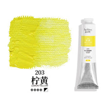 Load image into Gallery viewer, Oil Paints Alkyd 24 Hours Fast Drying Professional Oil Color 170ml Tube High Quality Pigment for Artist Art Supplies