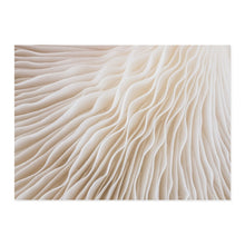 Load image into Gallery viewer, Modern Abstract Boho Beige White Line Wall Art Minimalist Canvas Paintings Posters Print Picture Living Room Home Interior Decor