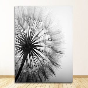 Decoration Living Room Abstract Wall Poster No Frame Dandelion Flower Canvas Painting Modern Black White Art Pictures for Home