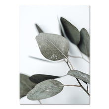 Laden Sie das Bild in den Galerie-Viewer, Beige Schilf Löwenzahn Wand Poster Gras Natürliche Wandkunst Leinwand Malerei Nordic Poster Schlafzimmer Bilder für Wohnzimmer Dekor