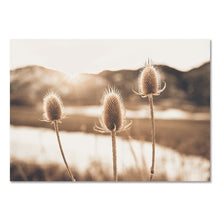 Laden Sie das Bild in den Galerie-Viewer, Beige Naturlandschaft Poster Sonnenuntergang Wald Gras Raumdekoration Malerei Skandinavische Leinwand Gemälde für Wohnzimmerwand