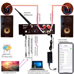 Sintonizador WiFi Red de radio por Internet Amplificador estéreo Receptor Bluetooth